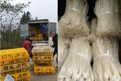 重慶中煙涪陵卷煙廠助銷蒲板村農(nóng)副產(chǎn)品，點亮鄉(xiāng)村振興之路