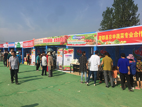望都2017櫻桃文化旅游節(jié)暨農(nóng)副產(chǎn)品展銷會(huì)拉開帷幕，助力地方特色食品銷售