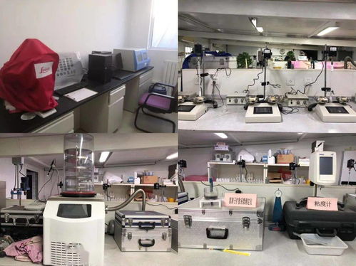 工業固廢高值化利用新路徑 超細復合礦物摻合料生產技術交流